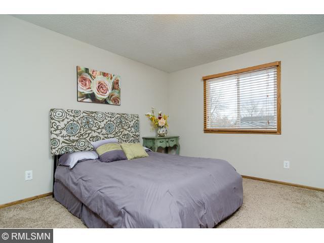 11233 Hampshire Ct E, Champlin, MN 55316 photo 8