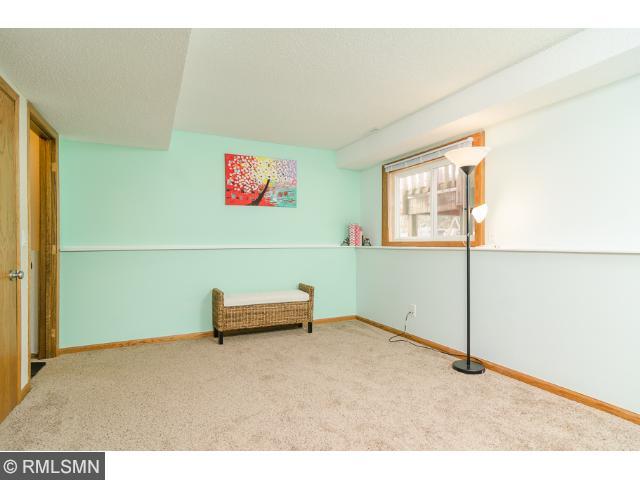 11233 Hampshire Ct E, Champlin, MN 55316 photo 10