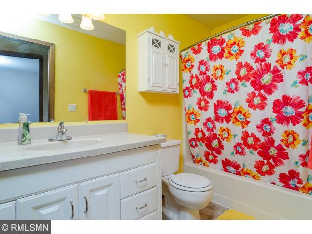 11233 Hampshire Ct E, Champlin, MN 55316 photo 3