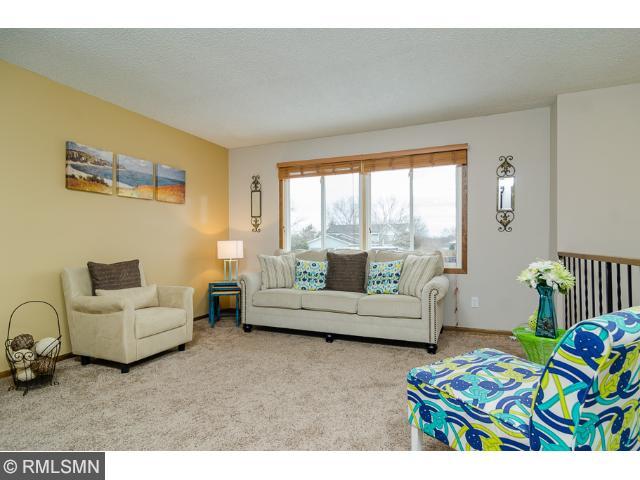 11233 Hampshire Ct E, Champlin, MN 55316 photo 2