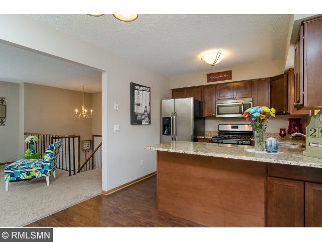 11233 Hampshire Ct E, Champlin, MN 55316 photo 6