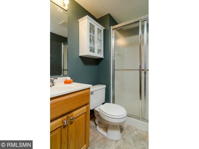 11233 Hampshire Ct E, Champlin, MN 55316 photo 14