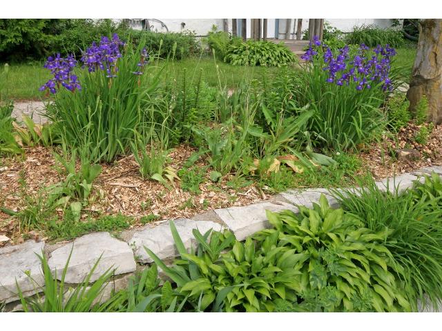 204 Playhouse St E, Cologne, MN 55322 photo 10