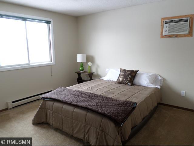 217 9th St, Jordan, MN 55352 photo 4