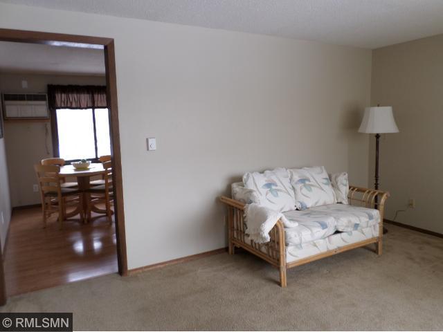217 9th St, Jordan, MN 55352 photo 7