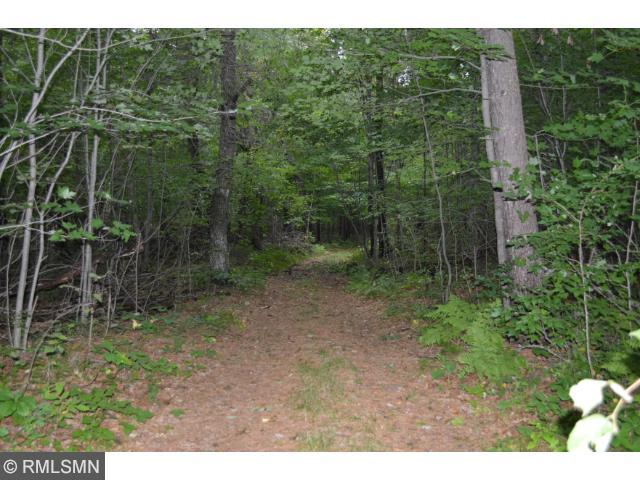 13754 Shellum Rd, Merrifield, MN 56465 photo 17