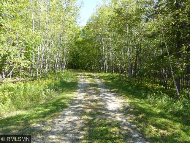 52197 Eagle Point Spur, Bigfork, MN 56628 photo 13