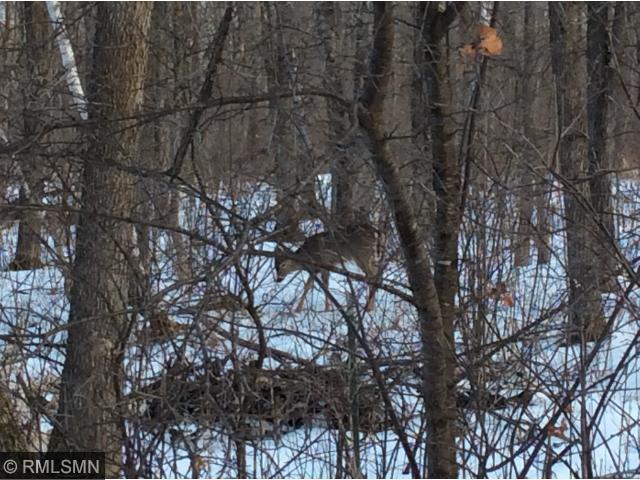 3068 Harbor St, Mora, MN 55051 photo 4