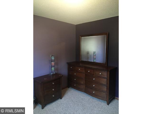 123 N 3rd St, Darwin, MN 55324 photo 11