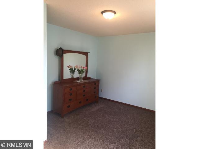 123 N 3rd St, Darwin, MN 55324 photo 9