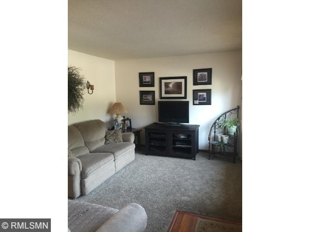 123 N 3rd St, Darwin, MN 55324 photo 7