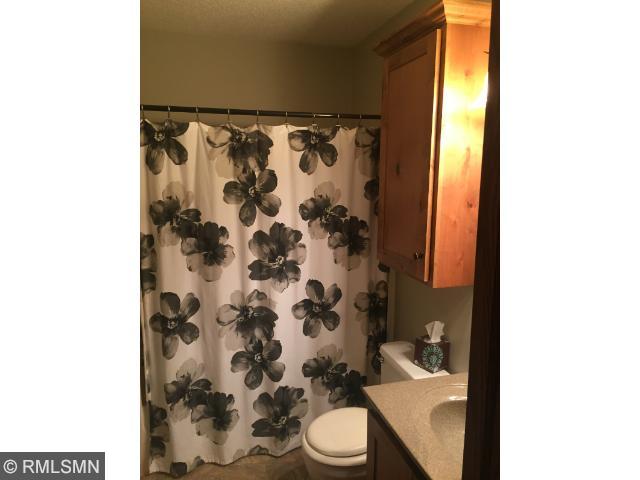 123 N 3rd St, Darwin, MN 55324 photo 13