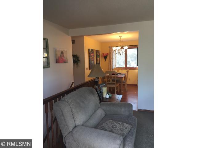 123 N 3rd St, Darwin, MN 55324 photo 8