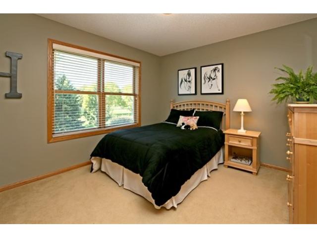 9612 Coneflower Cir, Champlin, MN 55316 photo 14