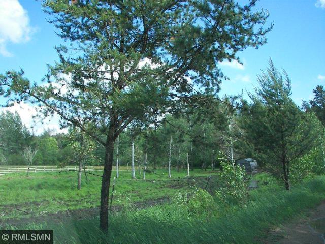 22036 320th St, Sebeka, MN 56477 photo 16