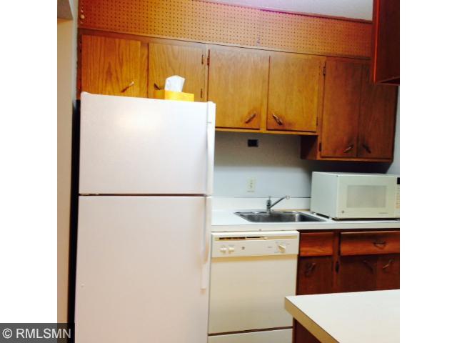 5440 Three Points Blvd #532, Mound, MN 55364 photo 14