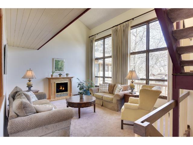 4833 Bradford St, Maple Plain, MN 55359 photo 4