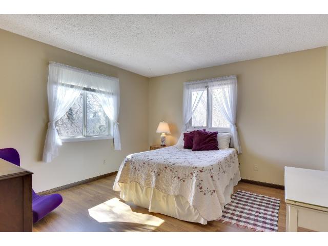 4833 Bradford St, Maple Plain, MN 55359 photo 12