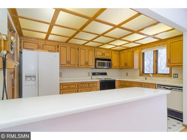 19560 Patrick Pl, Hamel, MN 55340 photo 9