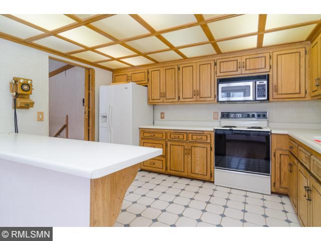 19560 Patrick Pl, Hamel, MN 55340 photo 10