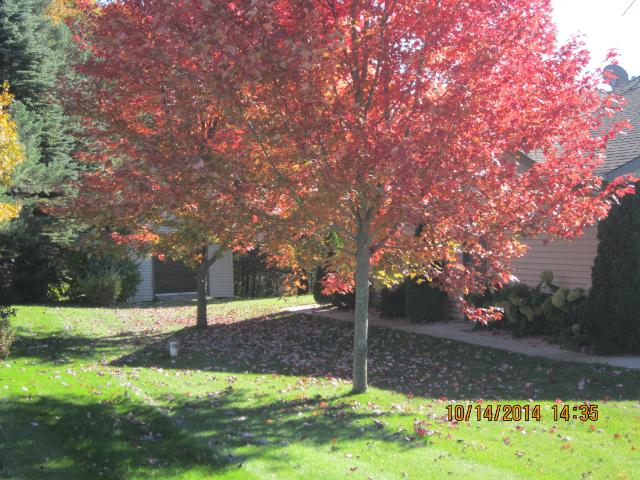 28127 Par Dr, Zimmerman, MN 55398 photo 18