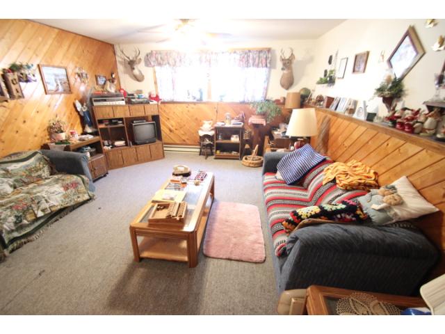 217 Minnesota St E, Grey Eagle, MN 56336 photo 8