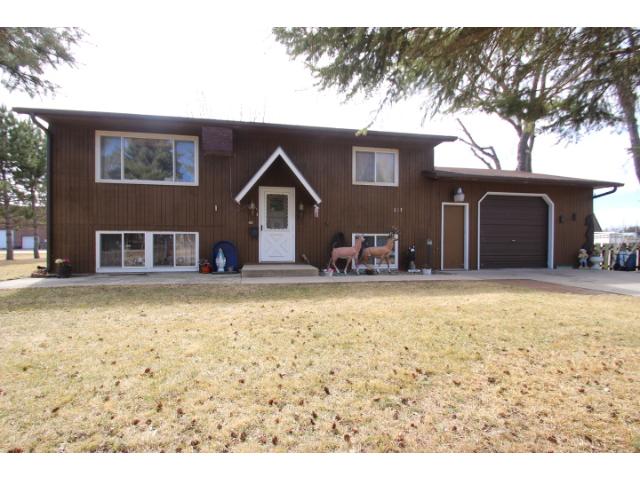 217 Minnesota St E, Grey Eagle, MN 56336 photo 1
