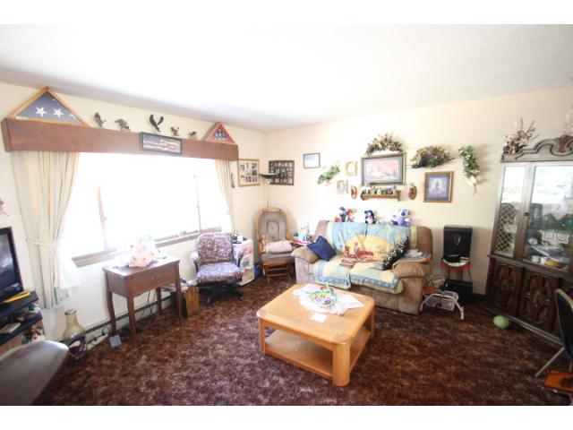 217 Minnesota St E, Grey Eagle, MN 56336 photo 5