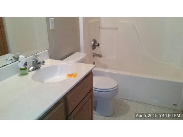 23700 Belle Ct, Hampton, MN 55031 photo 4