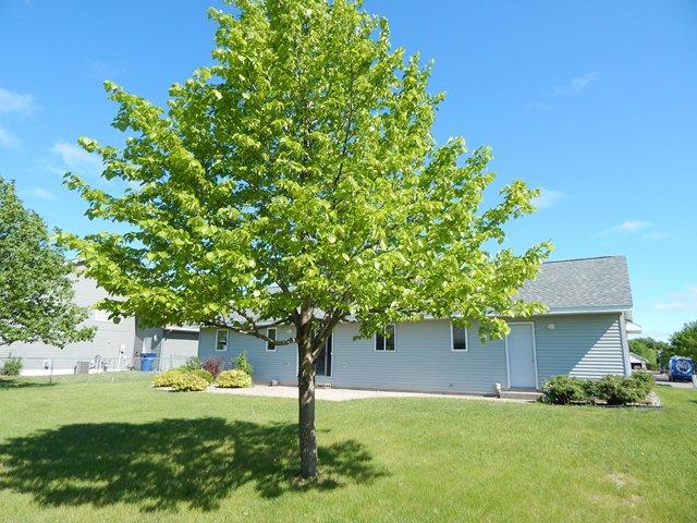 948 Cory Ln, Saint Cloud, MN 56303 photo 17