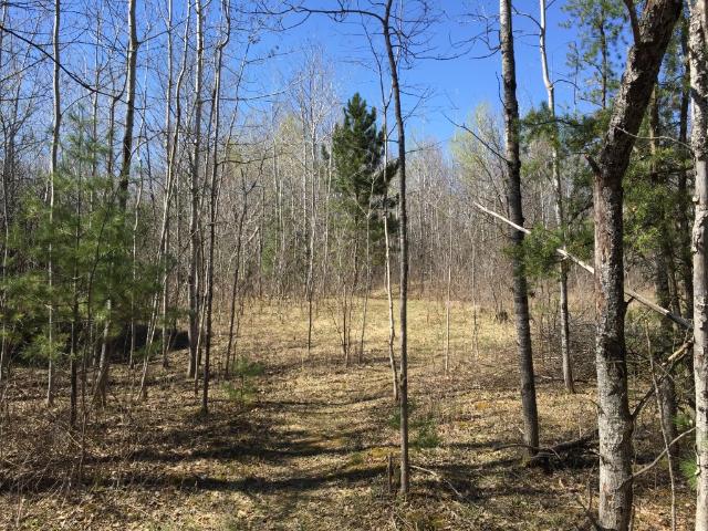 17039 60th Ave, Milaca, MN 56353 photo 17