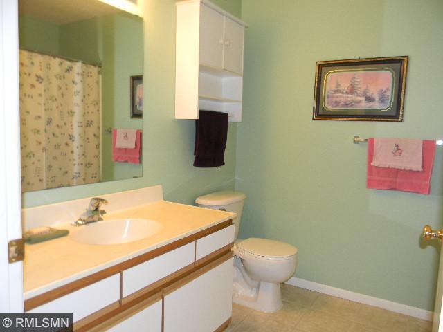 809 7th Ave NE, Buffalo, MN 55313 photo 11