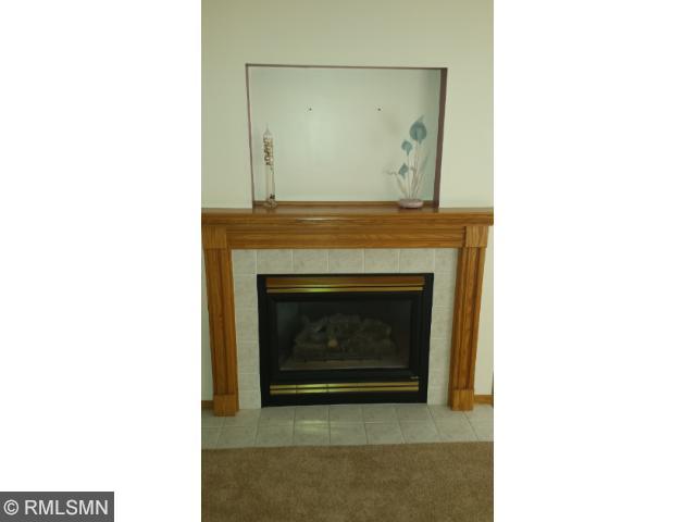 10592 Sycamore St NW, Minneapolis, MN 55433 photo 11