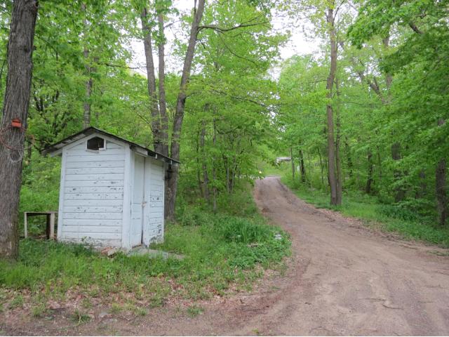 10021 County 47, Grey Eagle, MN 56336 photo 15