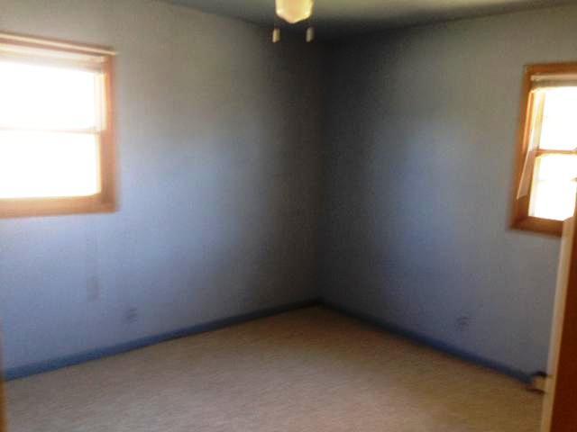 406 Prospect St, Bluffton, MN 56518 photo 3