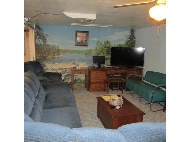 220 3rd St E, Hector, MN 55342 photo 16
