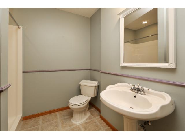 11352 Rosemill Ln, Champlin, MN 55316 photo 8