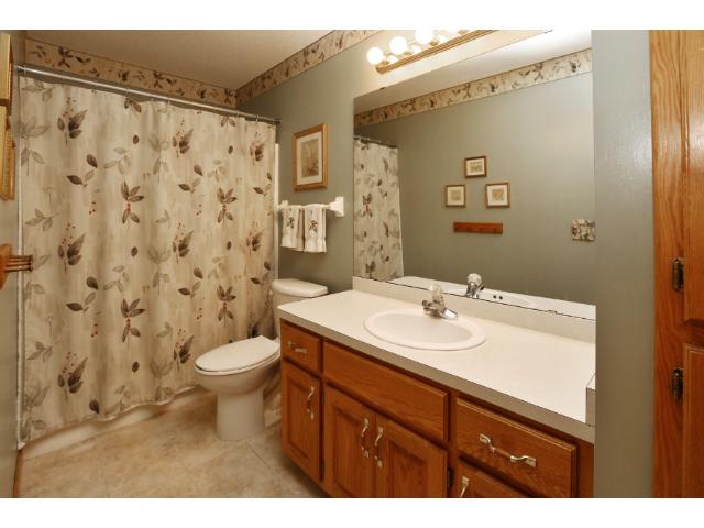 11352 Rosemill Ln, Champlin, MN 55316 photo 7