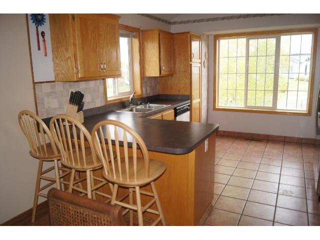 20433 Gadwall Ln, Rogers, MN 55374 photo 3