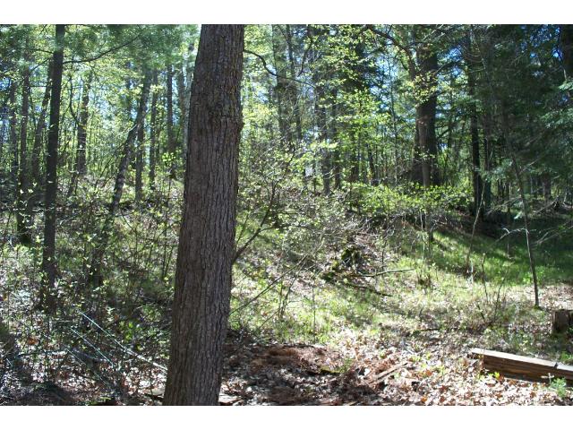 3821 63rd Ave NW, Hackensack, MN 56452 photo 5
