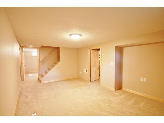 913 Pleasant Ave N, Champlin, MN 55316 photo 10