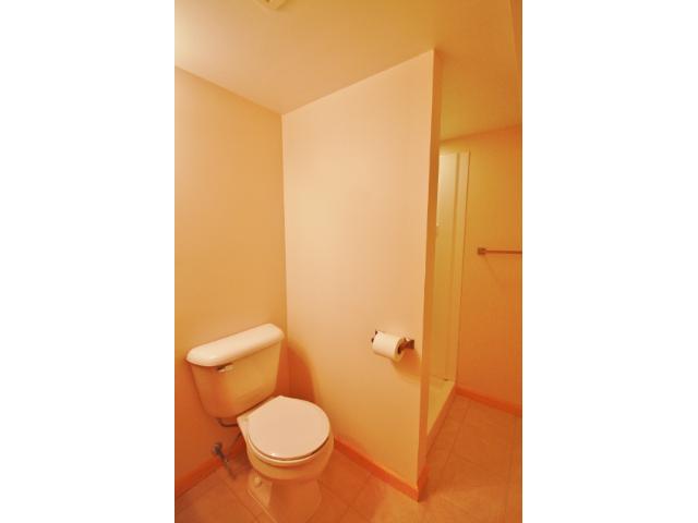 913 Pleasant Ave N, Champlin, MN 55316 photo 17