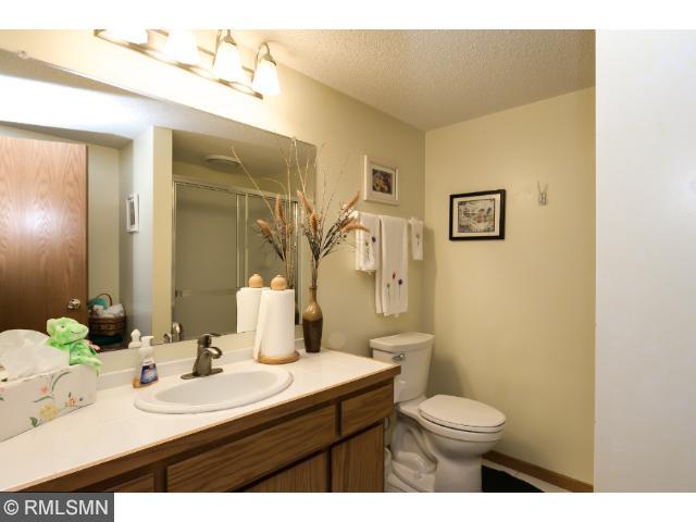 718 Summer Ln, Eagan, MN 55123 photo 10