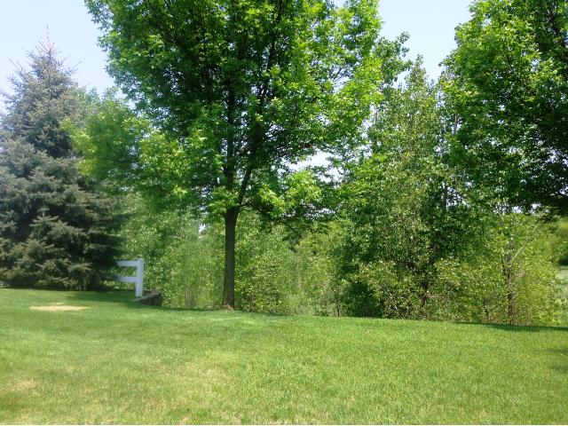 14217 Avalon Path, Rosemount, MN 55068 photo 17