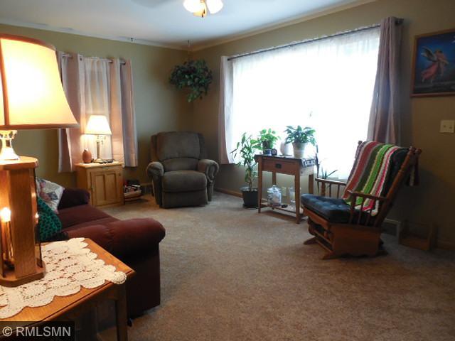 612 3rd St E, Litchfield, MN 55355 photo 8