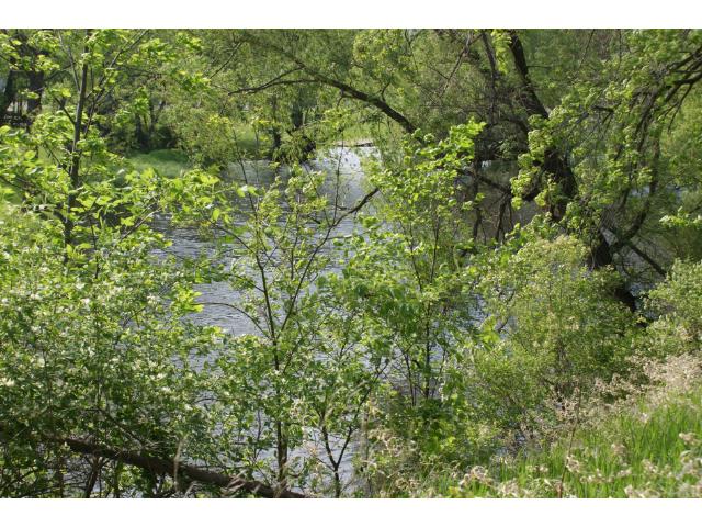 127 5th St, Pine River, MN 56474 photo 8