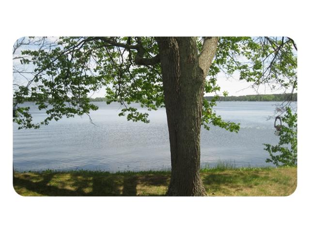 19606 469th St, Mcgregor, MN 55760 photo 10
