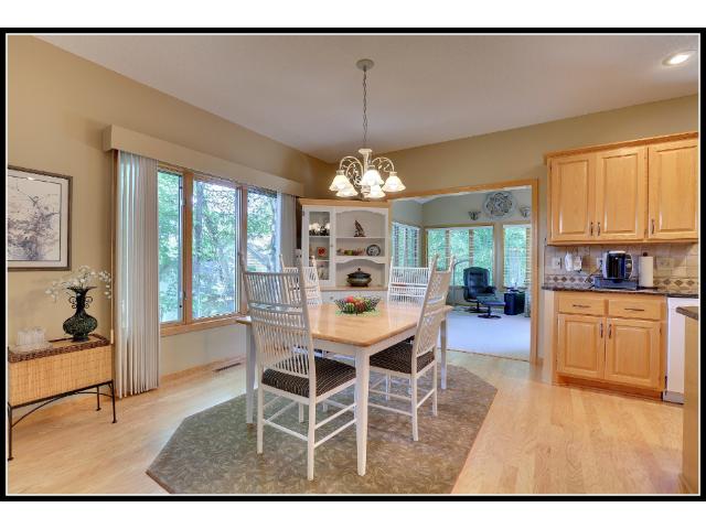 11270 Hidden Oaks Ct N, Champlin, MN 55316 photo 8