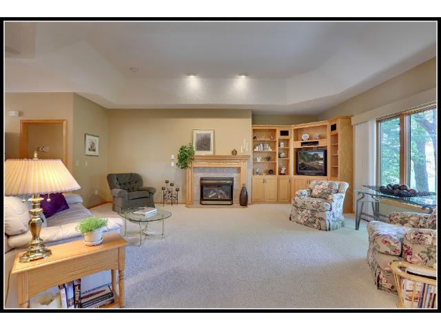 11270 Hidden Oaks Ct N, Champlin, MN 55316 photo 6
