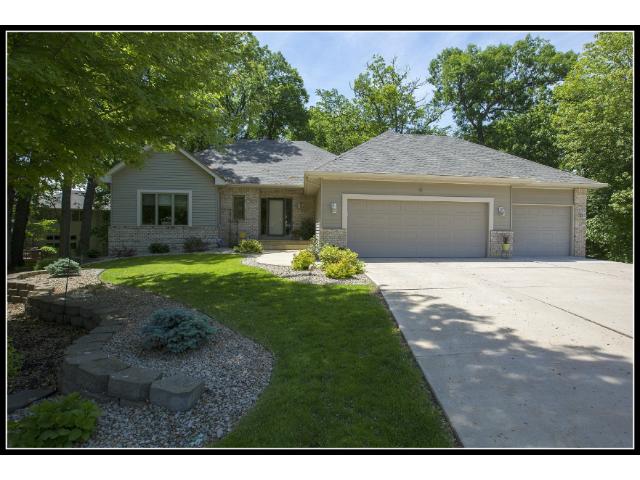 11270 Hidden Oaks Ct N, Champlin, MN 55316 photo 1